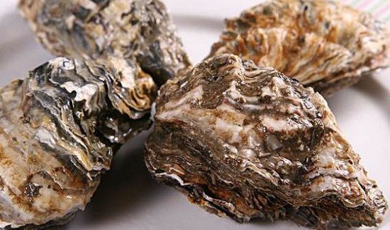 买了一箱生蚝怎么保存