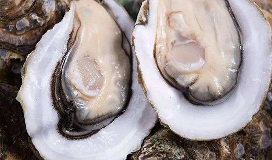 买了一箱生蚝怎么保存