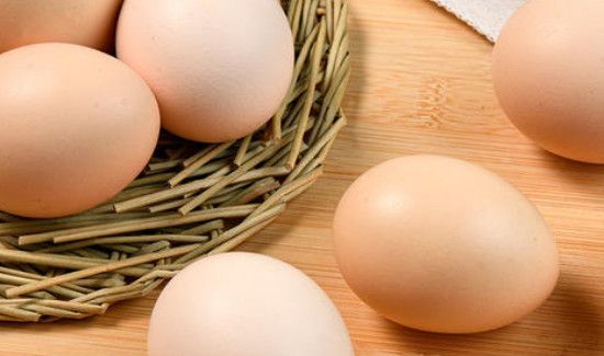 早上可以吃鸡蛋吗