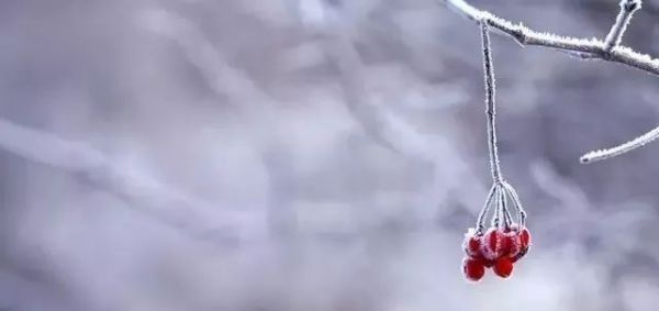 立冬,送你最美诗词,静静观赏难得意境