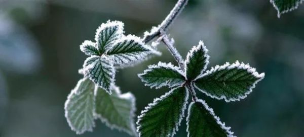 立冬,送你最美诗词,静静观赏难得意境