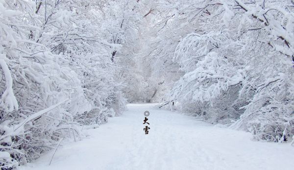 二十四节气话大雪，一定会降下漫天雪花？