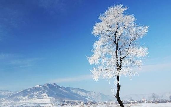 小寒和大寒的区别,哪个更冷?