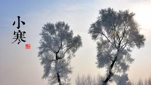 小寒和大寒的区别,哪个更冷?