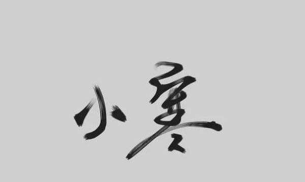 小寒和大寒的区别,哪个更冷?