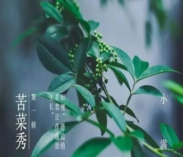 人生不求太满，小满即是圆满