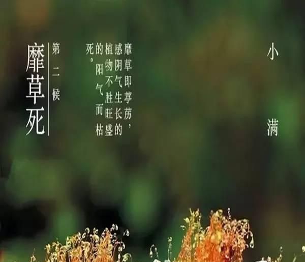 人生不求太满，小满即是圆满