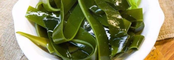 鸡肉和海带能一起吃吗