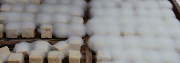 霉豆腐发霉了还能吃吗