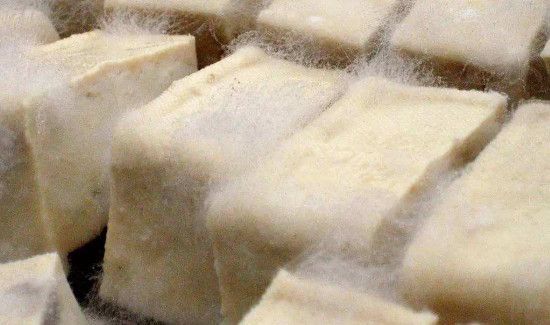 霉豆腐发霉了还能吃吗