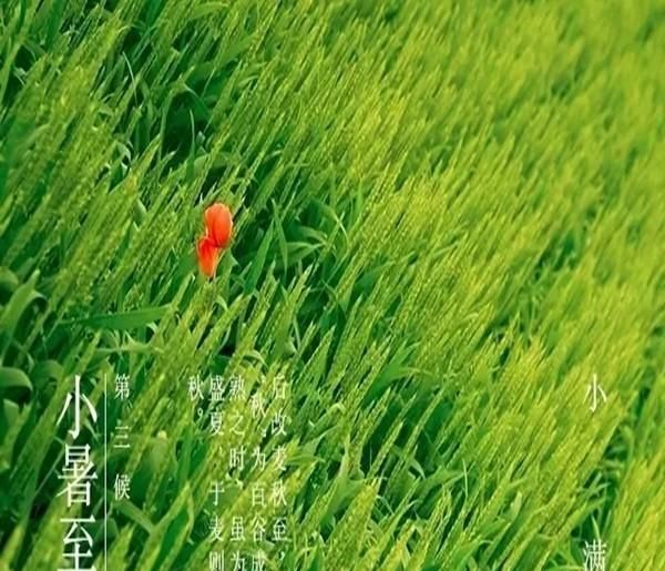 人生不求太满，小满即是圆满