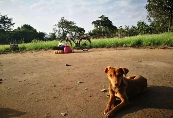 撒由那拉是什么意思？