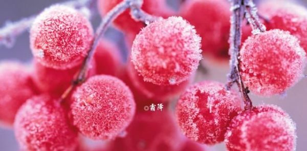 唐宋诗词中的霜降，好一个愁字了得