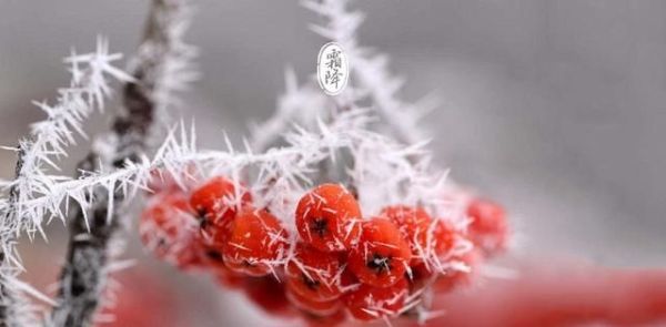 唐宋诗词中的霜降，好一个愁字了得