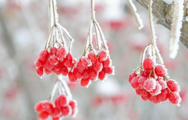 唐宋诗词中的霜降，好一个愁字了得