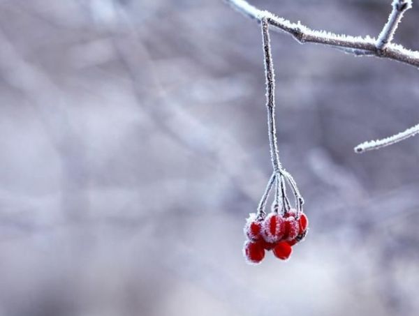 唐宋诗词中的霜降，好一个愁字了得
