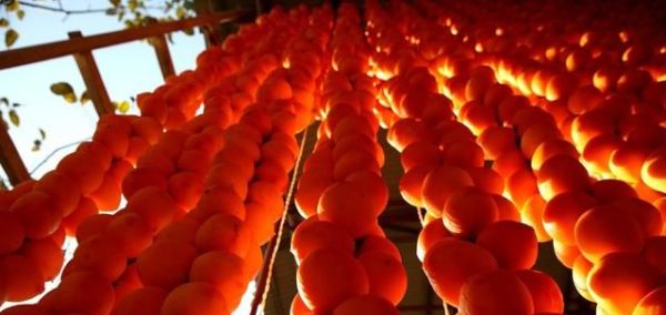 唐宋诗词中的霜降，好一个愁字了得