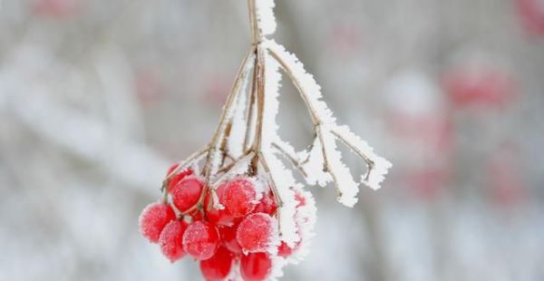 唐宋诗词中的霜降，好一个愁字了得