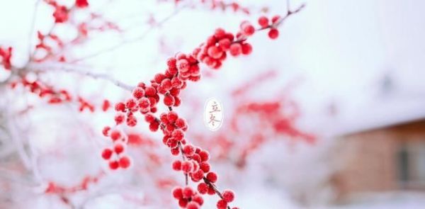 立冬除了吃饺子，你还应该知道这些