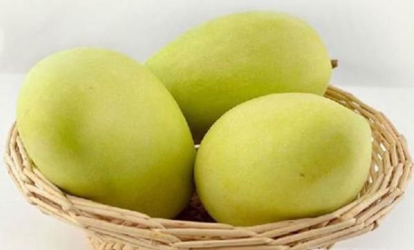 芒果控看过了 常见芒果分类