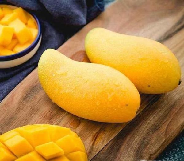 芒果控看过了 常见芒果分类