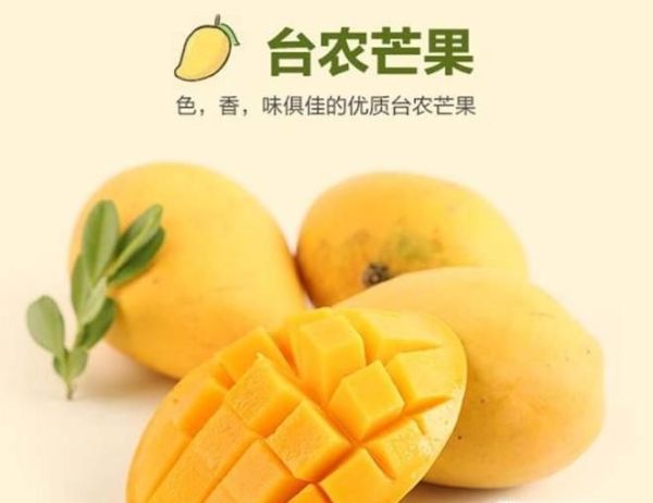 芒果控看过了 常见芒果分类