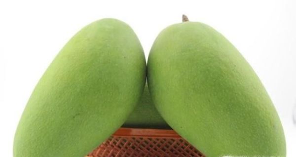 芒果控看过了 常见芒果分类