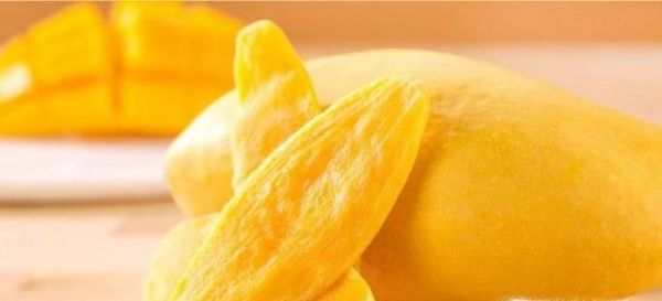 芒果控看过了 常见芒果分类