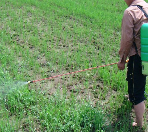 杀虫剂对人有害吗?