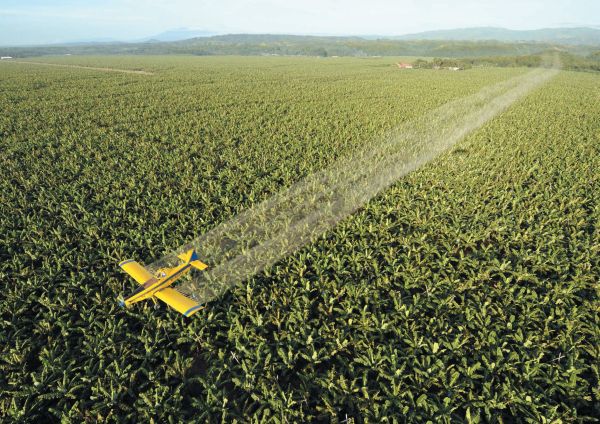 杀虫剂对人有害吗?