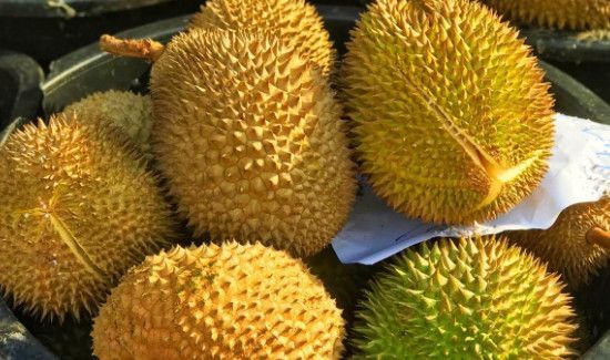榴莲怎样才能带上高铁