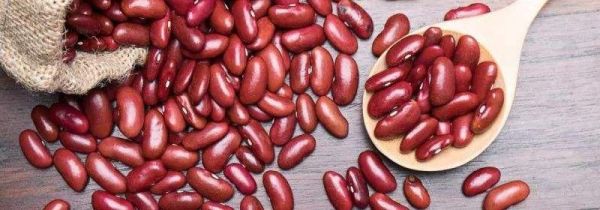 红豆和赤小豆能一起煮吗