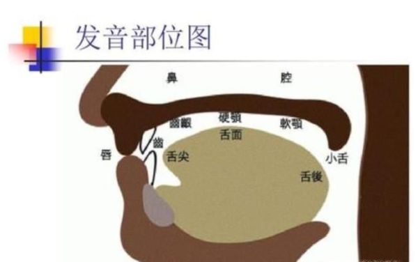 如何训练磁性声音，怎样使自己说话声音好听