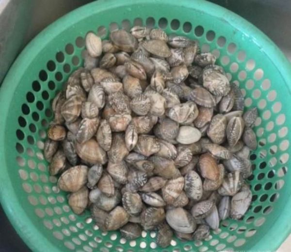 怎样正确清洗花甲?