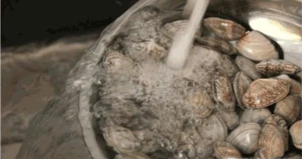 怎样正确清洗花甲?