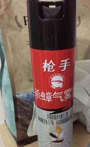 家里有黑色小飞虫怎么办,花盆有小飞虫怎么办