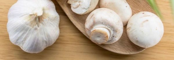 蘑菇放冰箱长白毛能吃吗