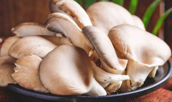 蘑菇放冰箱长白毛能吃吗