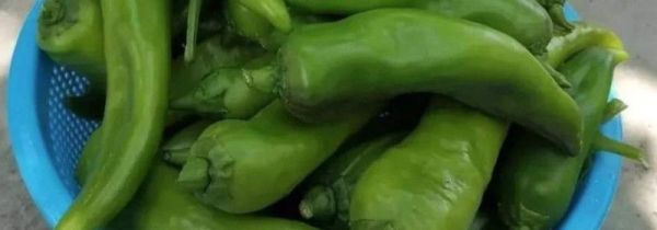 青辣椒吃不完怎么处理