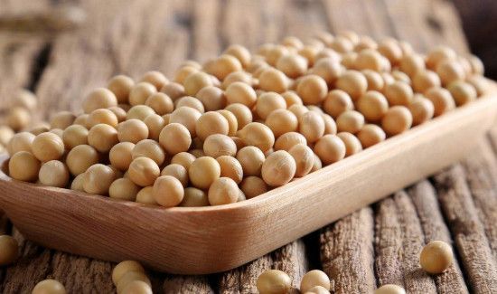 黄豆性寒还是性温