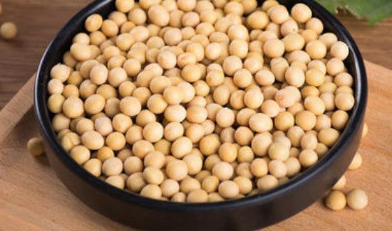 黄豆性寒还是性温