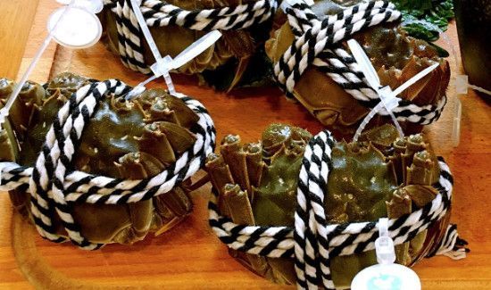 黑鱼不能和什么一起吃