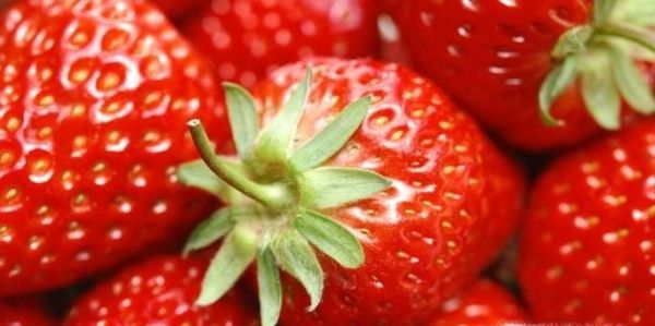 应季水果有哪些