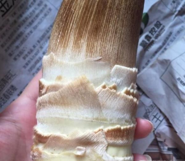 冬笋怎么剥处理不浪费吃不完的该怎么保存