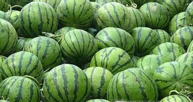 应季水果有哪些