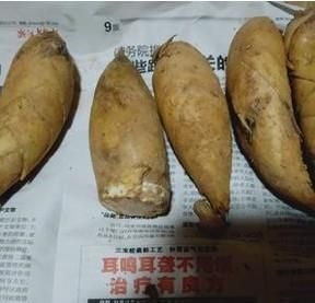 冬笋怎么剥处理不浪费吃不完的该怎么保存