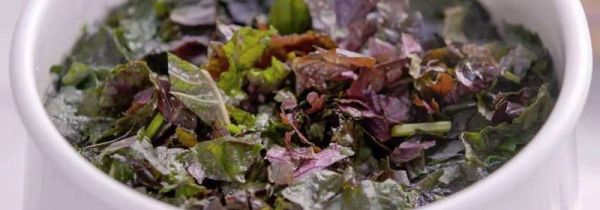 紫苏怎么保存时间更长