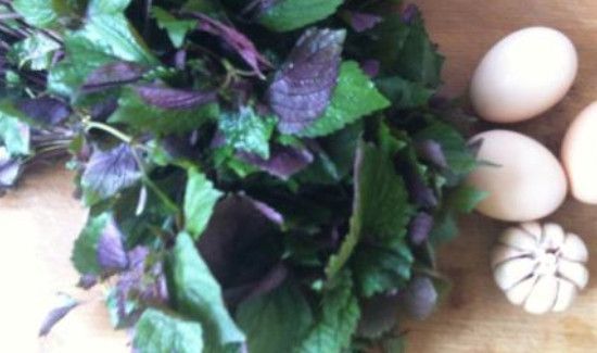 紫苏怎么保存时间更长