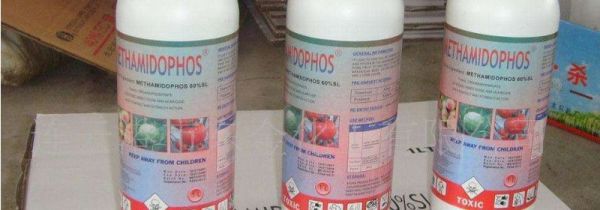 怎么去除吊顶小白肉虫