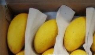 如何快速捂熟芒果？